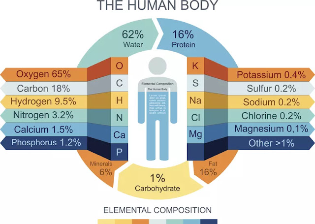 التركيب الكيميائي للجسم البشري  Chemical Composition of the Human Body   