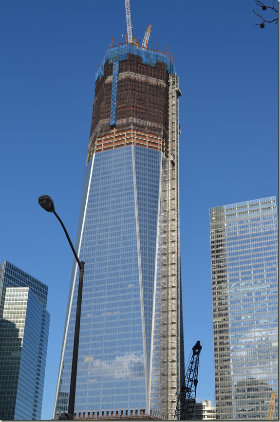 DSC_0503