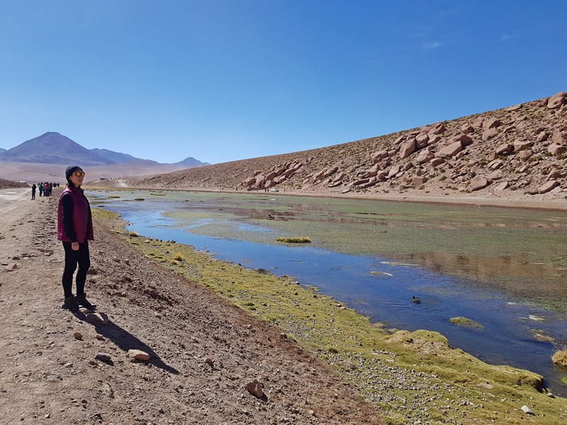 Tour Gêiseres del Tatio e Pueblo Machuca