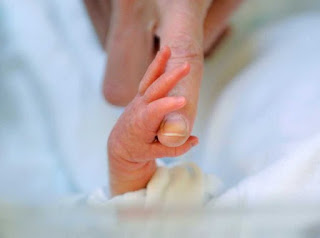 Preemie baby hand