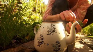 Putting mint leaves into a teapot