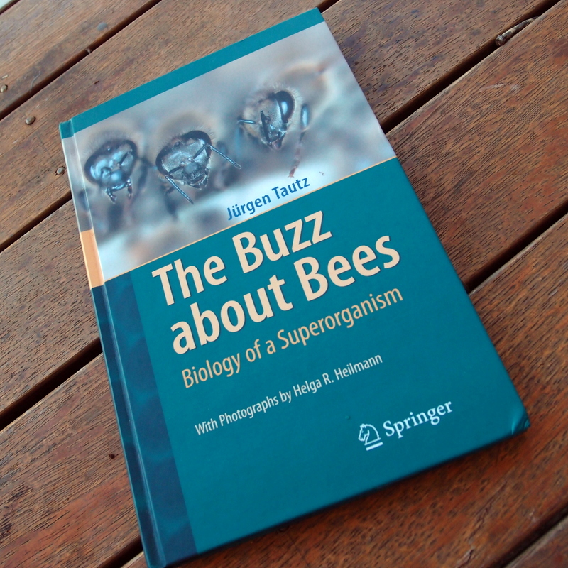 The Buzz About Bees Book Review