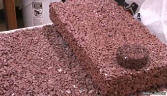 Plastisoil