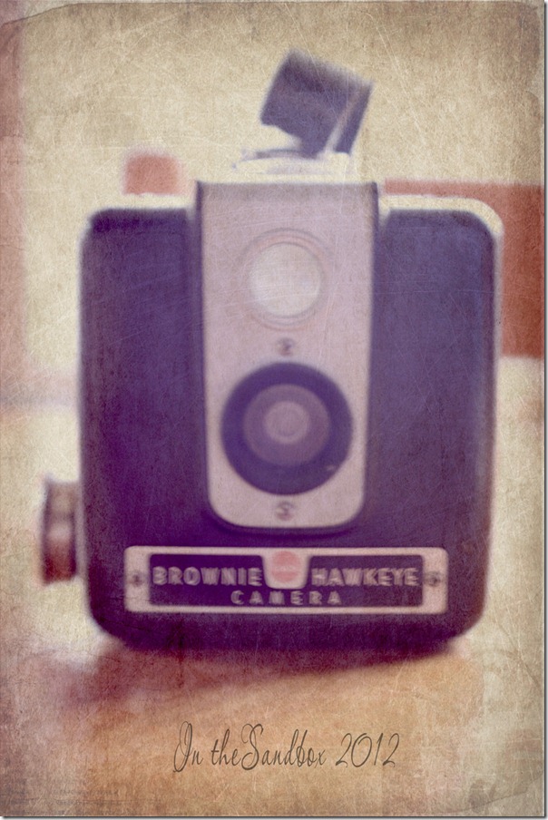 Brownie with Serenity texture for web