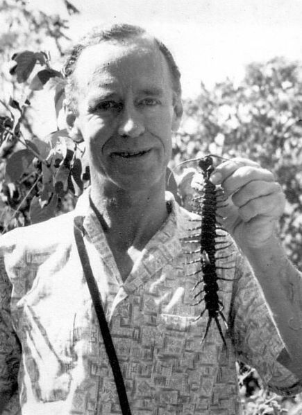 Man holding large Centipede in Trinidad