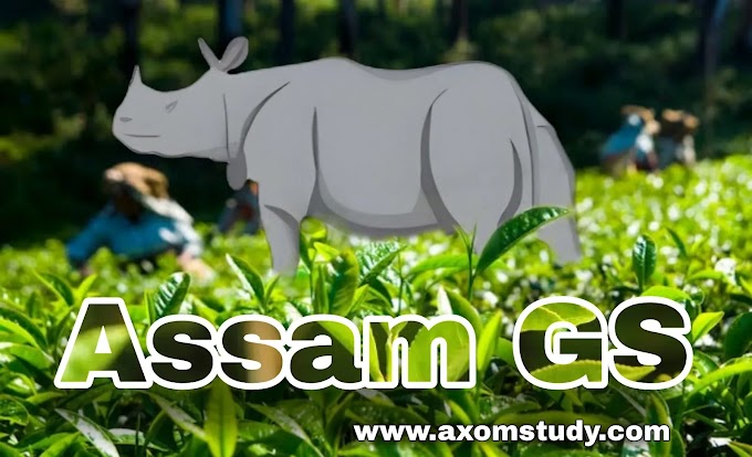 Assam GS