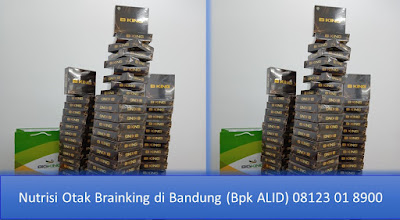  PROMOSI, 08123 01 8900 (Bpk. Alid), Nutrisi Otak Brainking di Bandung