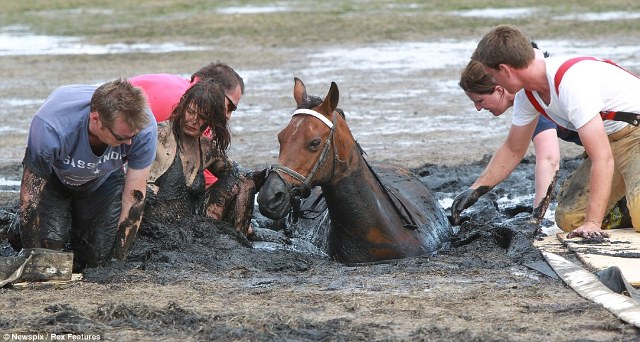 Woman and Horse Trapped in Mud