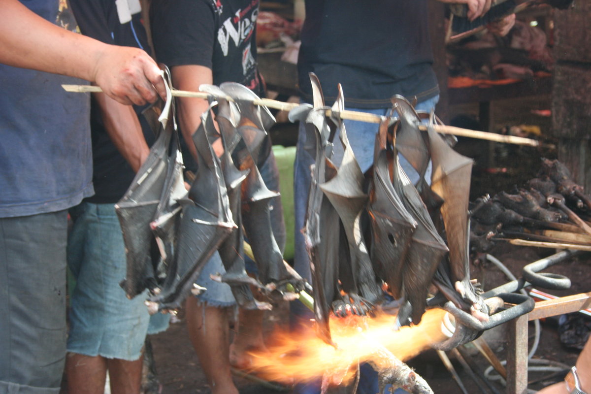 Pemburu Budaya