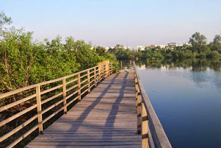 taman wisata alam mangrove angke kapuk jakarta