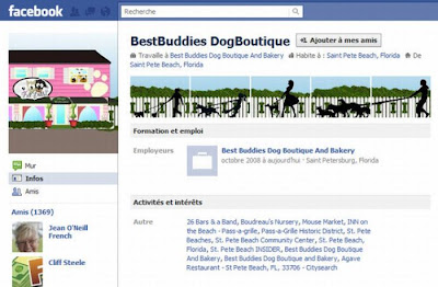 Awesome Use Of The New Facebook Profile Page Seen On www.coolpicturegallery.us