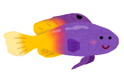 ロイヤルグラマのイラスト（熱帯魚）