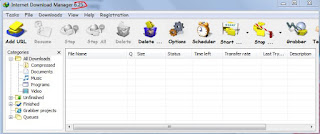 Internet Download Manager (IDM) 6.25 Build 7 Full Version