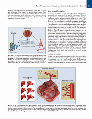 Abeloff's Clinical Oncology 6th Edition