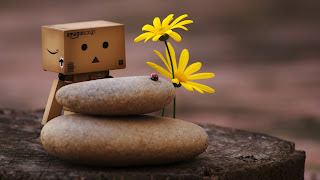 Danbo Adventures Wallpaper