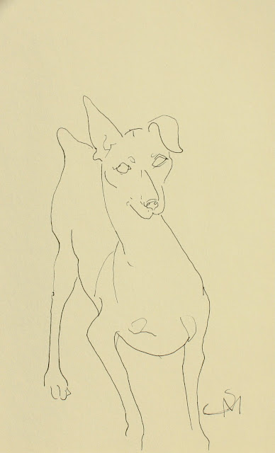 Very Small Dog, Sarah Myers, S. Myers, ink, drawing, line-drawing, sketch, study, art, paper, puppy, tiny, arte