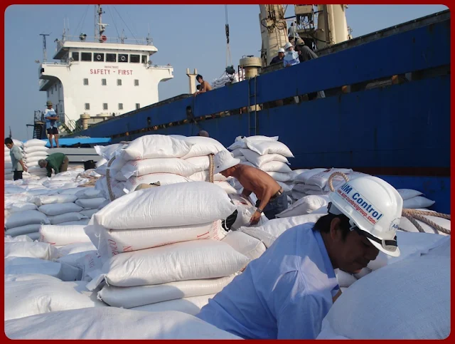 Quality-Inspector-in-Vietnam - cargo of rice surveyors