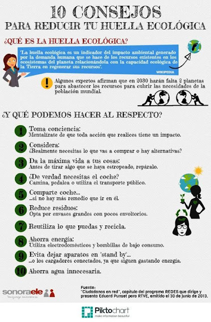 imagen 10 consejos para reducir tu huella ecológica 