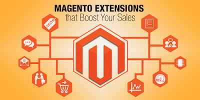 https://www.magepoint.com/our-services/magento-extension-development/