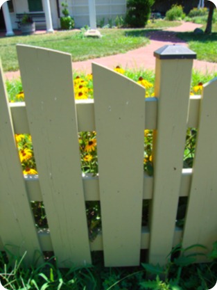 July 30, 2011 007