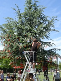 2017.05.27-010 arbre à voeux