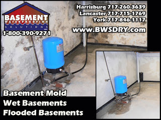 Moldy Basement, Mold Removal, Mold Remediation, Flooded Basement, Wet Basement, Harrisburg PA, Moldy Basement Harrisburg PA, Basement Mold,