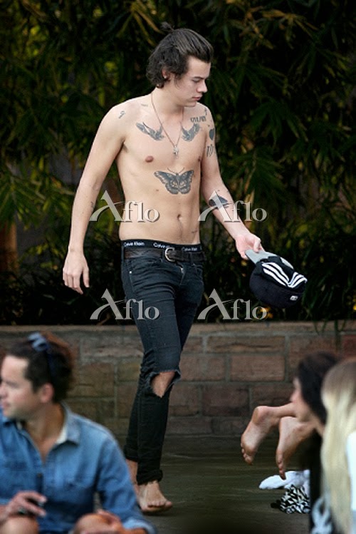 http://www.aflo.com/s/Search/search?url=Search%2Fsearch&ac_type=ed&s_genru=entertain&s_page=0&slider_auto=&search_ext=1&s_keywords_last=Harry+Styles&s_keywords_ext=%28%28cid%3A5711%29%29+AND+%28%22Harry%22+AND+%22Styles%22%29&s_keywords_not_last=&s_keywords_not_ext=&csr=&search_type=Category&stype_key=%285711%3Cin%3Ecid%29&stype_imgno=&s_conjunction_last=AND&s_conjunction=AND&category_kind=&cateno=68878&cid=234529&step=2&catename=%EF%BC%9C%E3%83%97%E3%83%A9%E3%82%A4%E3%83%99%E3%83%BC%E3%83%88%EF%BC%9E&s_keywords=Harry+Styles&s_keywords_not=&in_category=1&shape1=Y&shape2=Y&shape3=Y&shape4=Y&search_date=&fromdate=20140119&todate=20140119