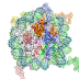 Đóng gói DNA: Nucleosome và Chromatin