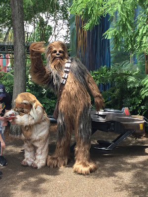 chewbacca e ewok no evento star wars weekends no hollywood studios