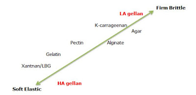 gellan gum gel Comparation to the other hydrocolloids gel