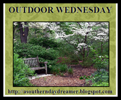 Outdoor-Wednesday-logo_thumb1_thumb1[2]