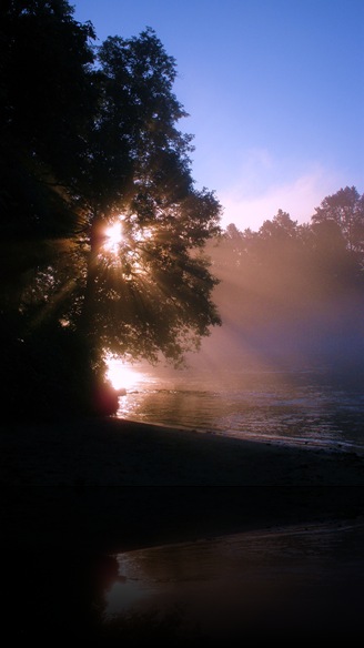 Rockport State Park Washington