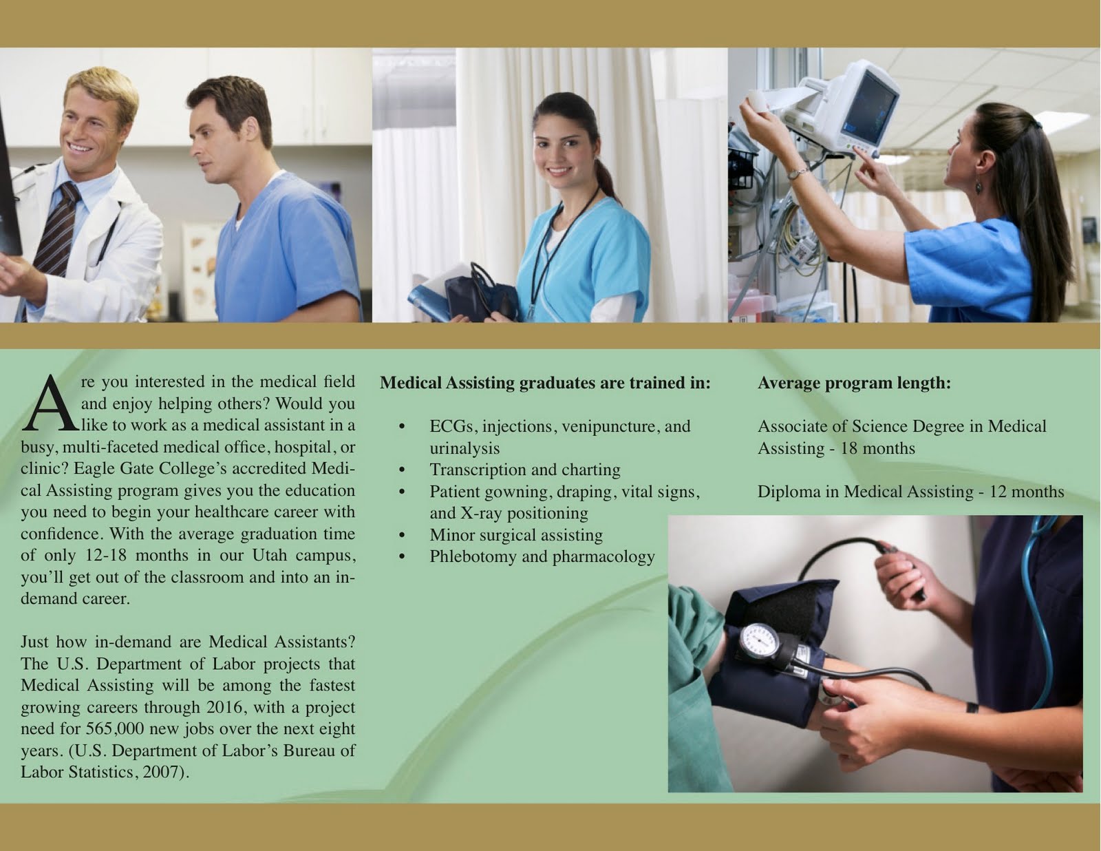  Brochure Design Example 