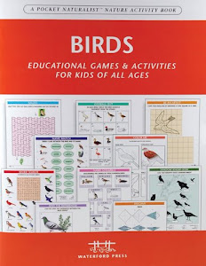 Birds: Educational Games & Activities for Kids of All Ages