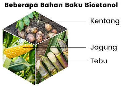 sumber daya alam hayati