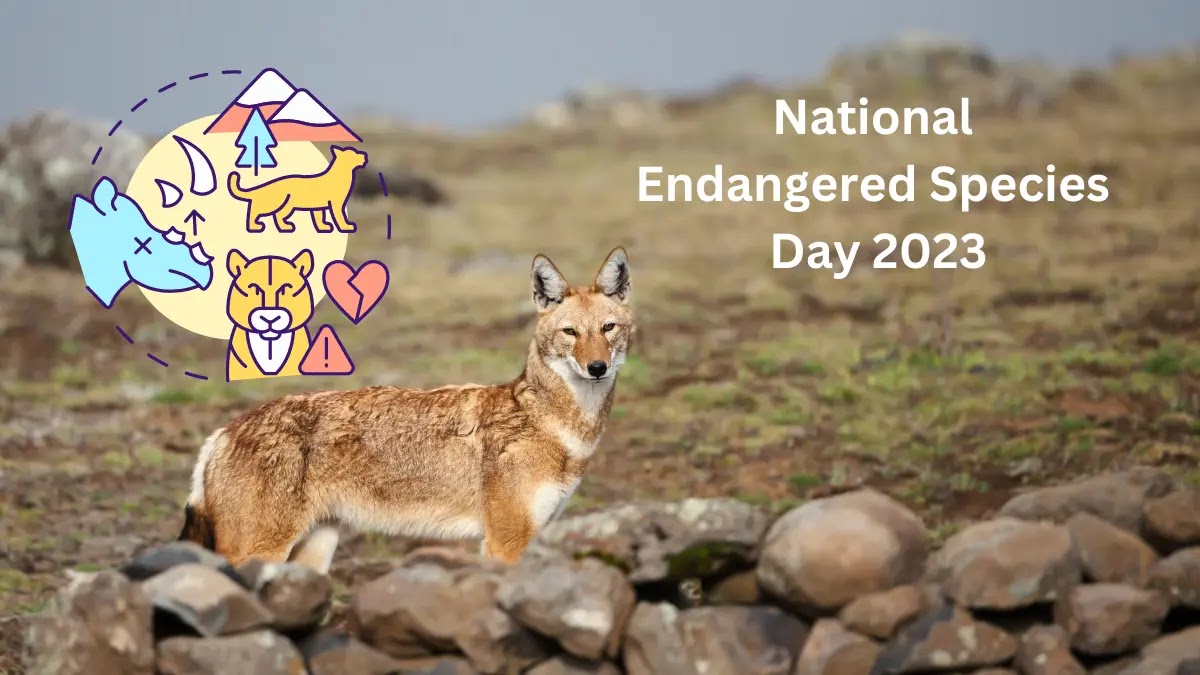 National Endangered Species Day 2023: Preserving Biodiversity and Protecting Species