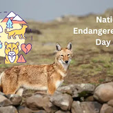 National Endangered Species Day 2023: Preserving Biodiversity and Protecting Species
