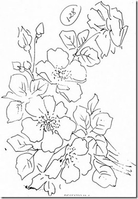 rosas silvestres