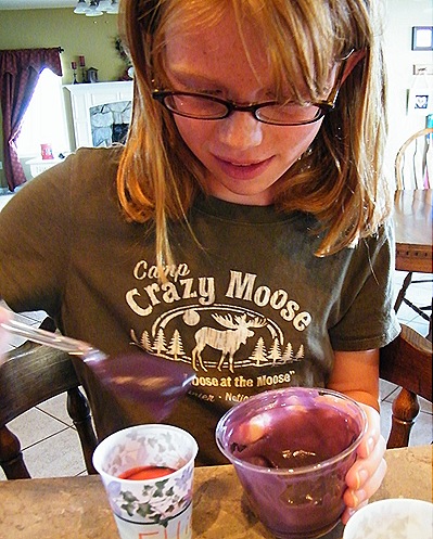 2010_0721rainbowpudding0012