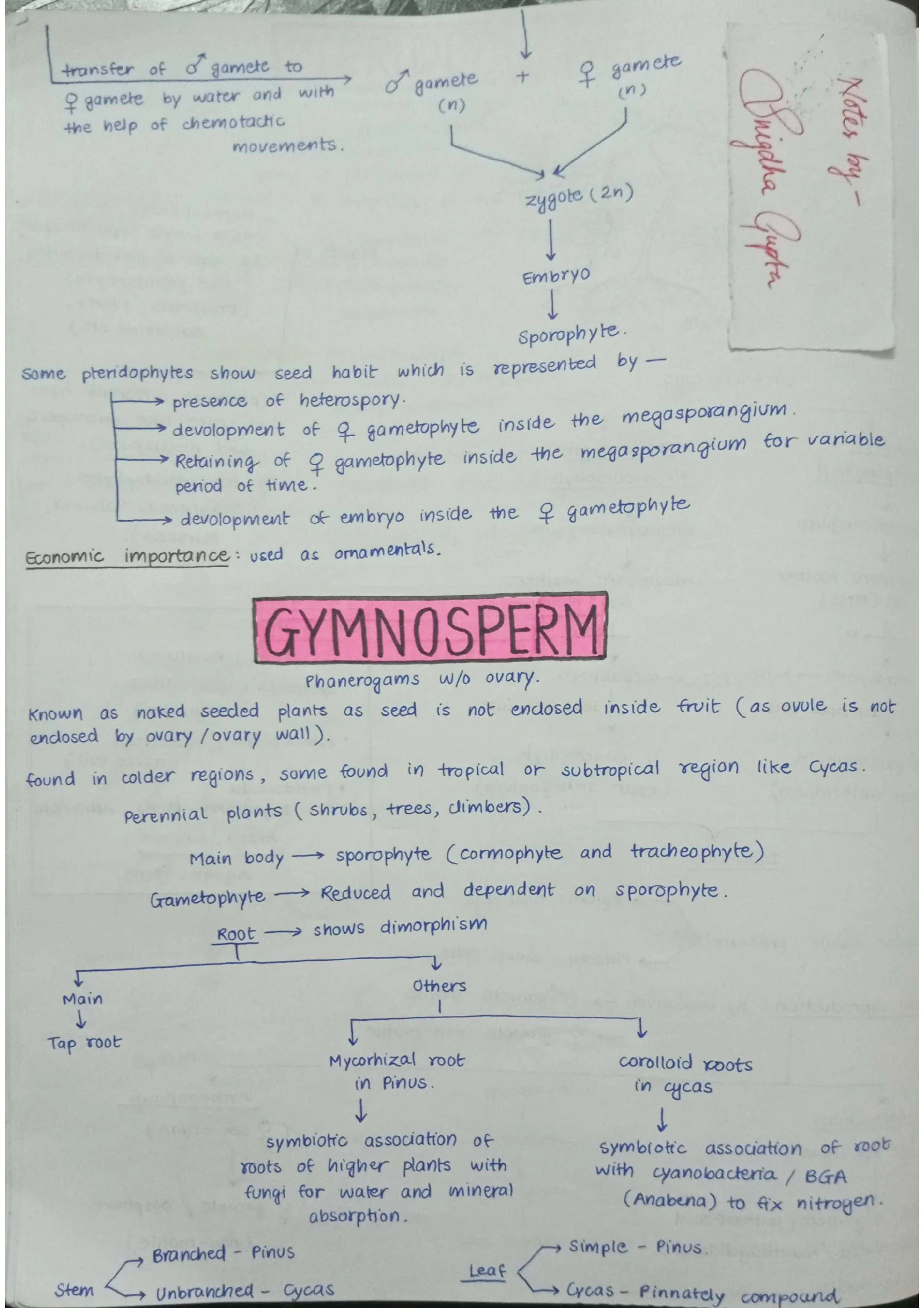 The Plant Kingdom - Biology Short Notes 📚