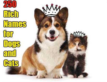 Aristocratic Names for Cats and Dogs