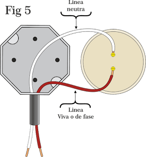 connection of rosette