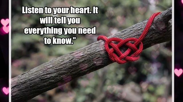 50+ Follow the Heart quotes that will inspire you