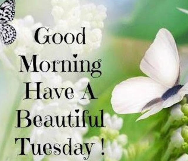 good morning tuesday images | Tuesday Wishes For Your Family, Friends, Boss And Others