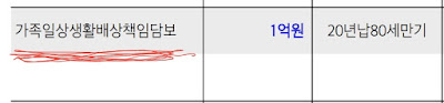 운전자보험 특약으로 일상생활배상책임보험에 관한 사진