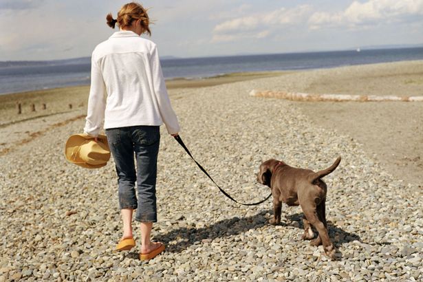 Official: Dog owners are more likely to live long and healthy lives