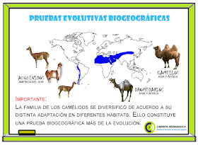 Pruebas Evolutivas Biogeográficas