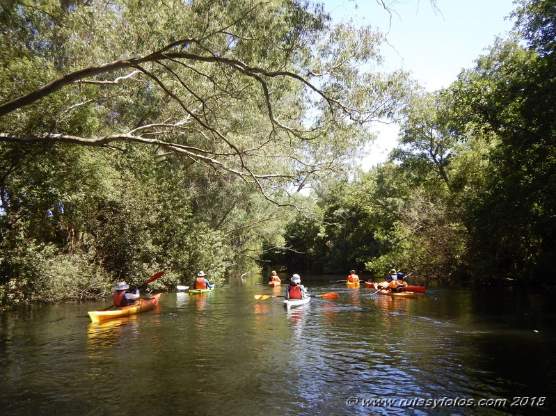 Kayak río Palmones