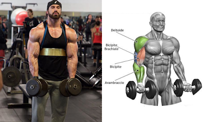 Bicep Workout Program to Guarantee the Biggest Biceps