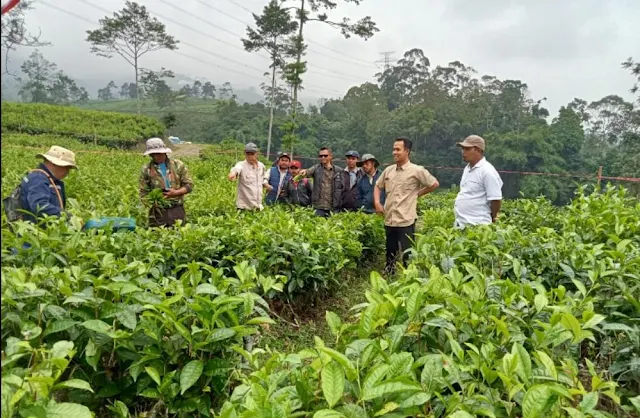 Tingkatkan Kompetensi dan Daya Saing